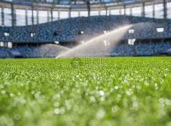 文森特妙传,内线,浓眉哥强力,PG电子官网,PG电子试玩,PG电子模拟器,PG电子平台,PG电子下载