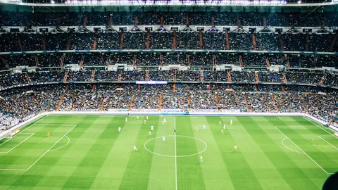 拜仁急召孔帕尼速定情，试用期仅短暂！